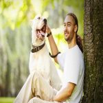 dog trainer