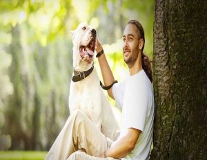 dog trainer