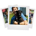 dog obedience training