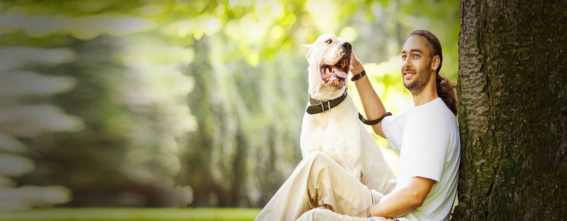 dog trainer agency slider