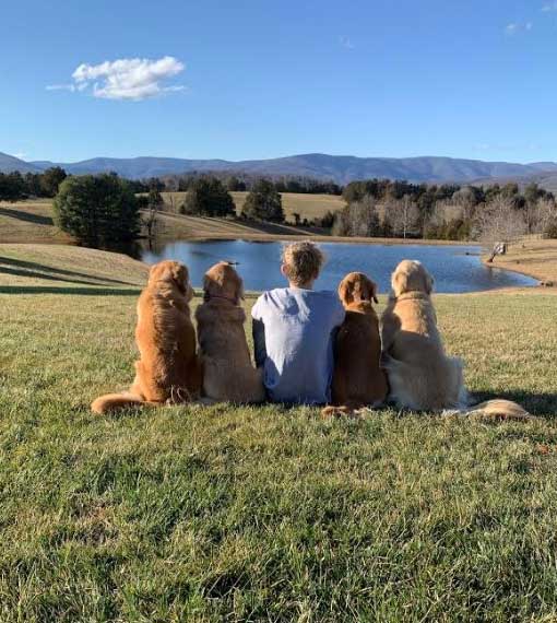 dog training process