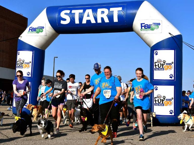 Best Off Leash K9 Pet Dog Training VA Call (540) 4486788