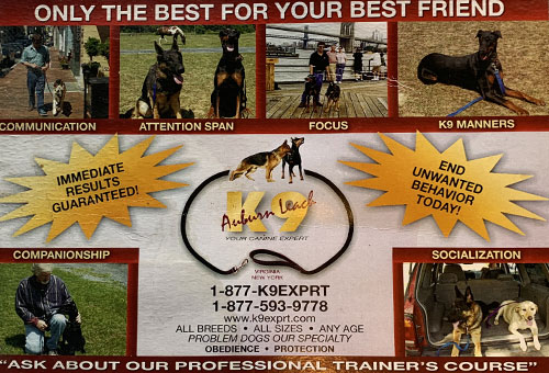 dog training services